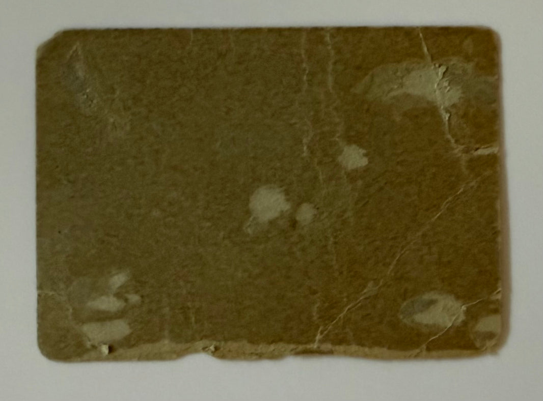 1904 Harvard versus Dartmouth, November 5, 1904